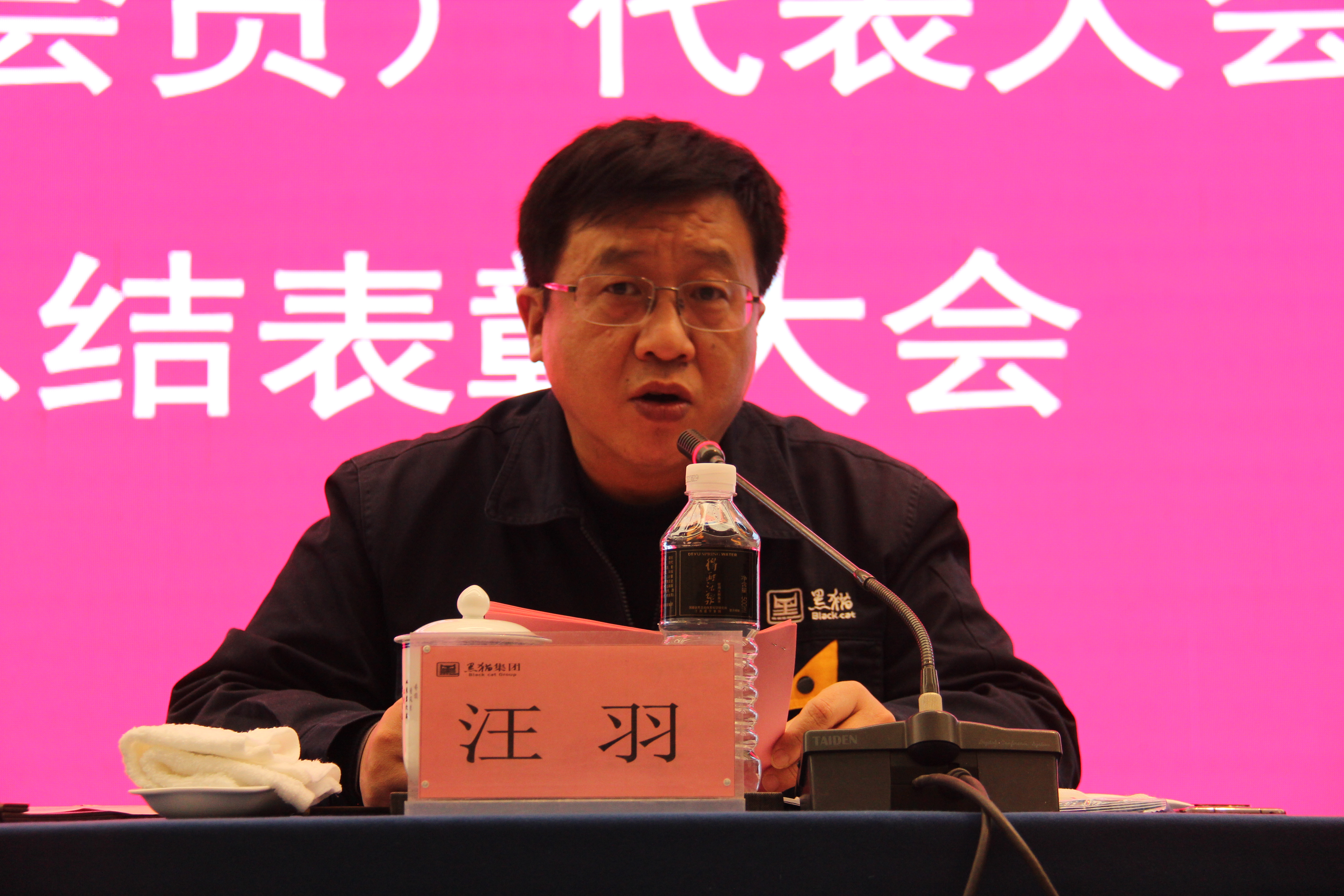 黑貓集團(tuán)黨委副書記、總經(jīng)理汪羽發(fā)言 (2).JPG